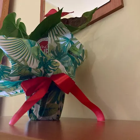 Tiglio 3* ヴィエステ