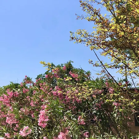 アパートホテル Tiglio