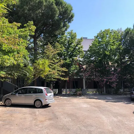 Tiglio *