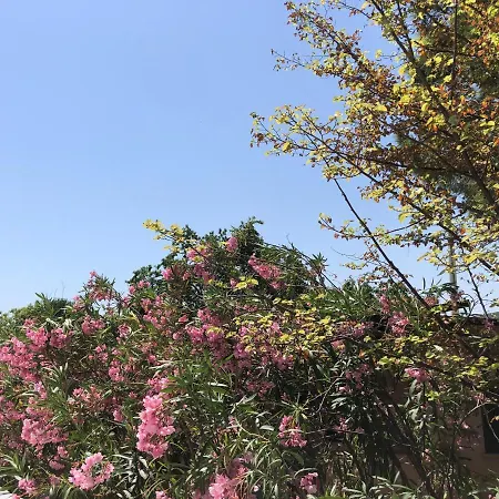 Tiglio Aparthotel 3*