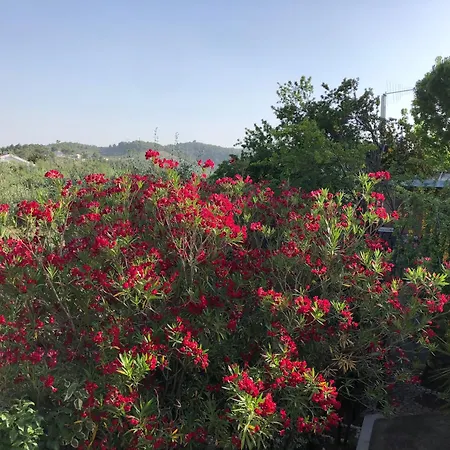 Tiglio Aparthotel 3*