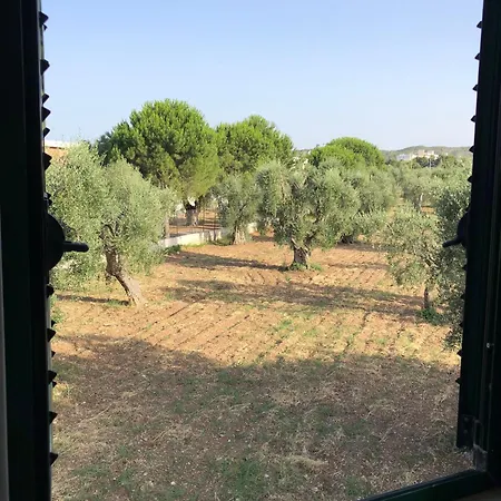 Aparthotel Tiglio Vieste