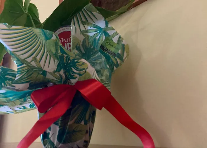 Tiglio 3* 维耶斯泰